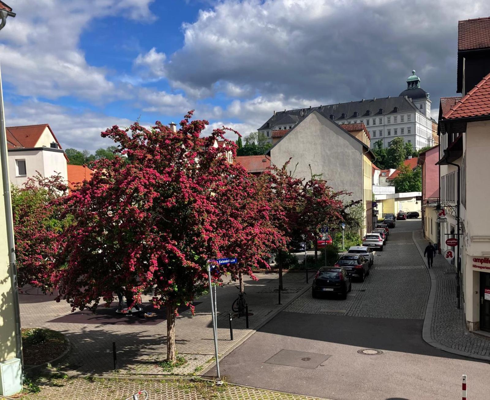 Ferienzimmer Healing Und Montuerwohnung Weissenfels Exterior photo